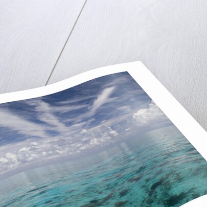 Calm Ocean Water in the Bahamas by Anonymous