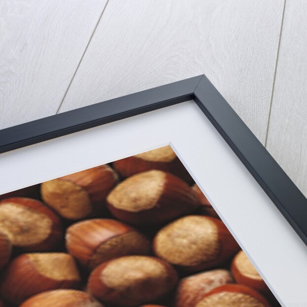 Hazelnuts in Shells by Anonymous