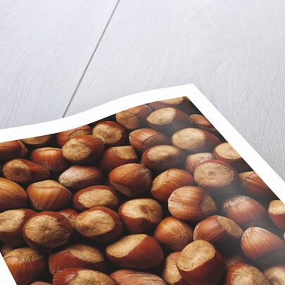 Hazelnuts in Shells by Anonymous