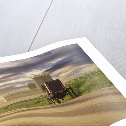 Amish Buggy on Road to Farm by Anonymous