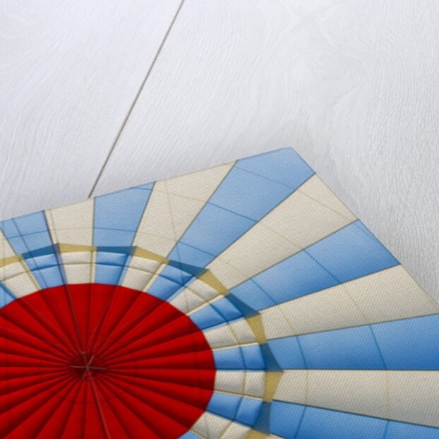 Inside of a Hot Air Balloon by Anonymous
