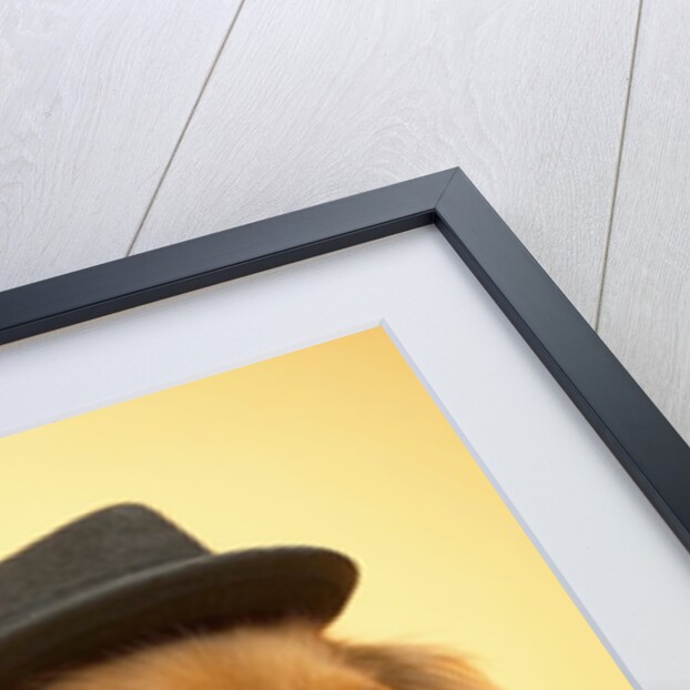 Dachshund Wearing Fedora by Anonymous