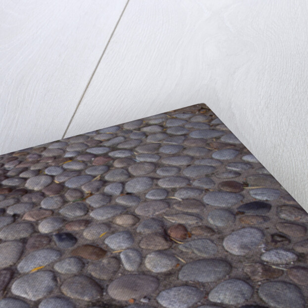 Cobblestones by Anonymous