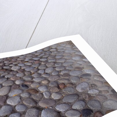 Cobblestones by Anonymous