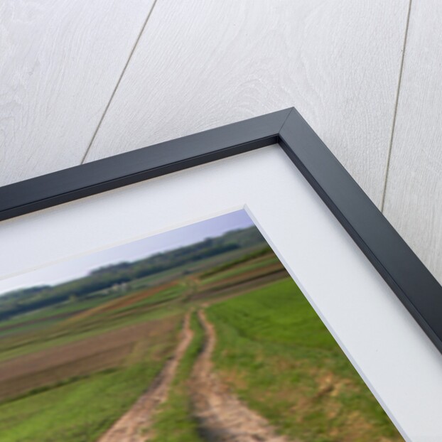 Dirt Road in Farmland by Anonymous