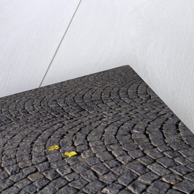 Patterned Cobblestones and Leaves by Anonymous