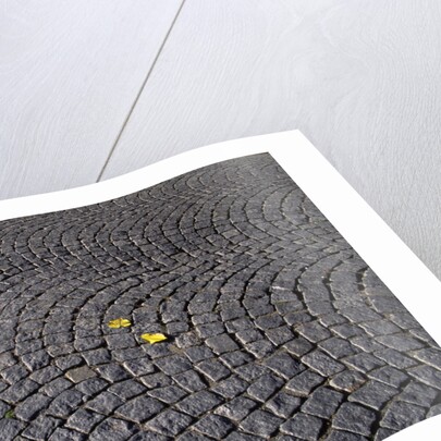 Patterned Cobblestones and Leaves by Anonymous