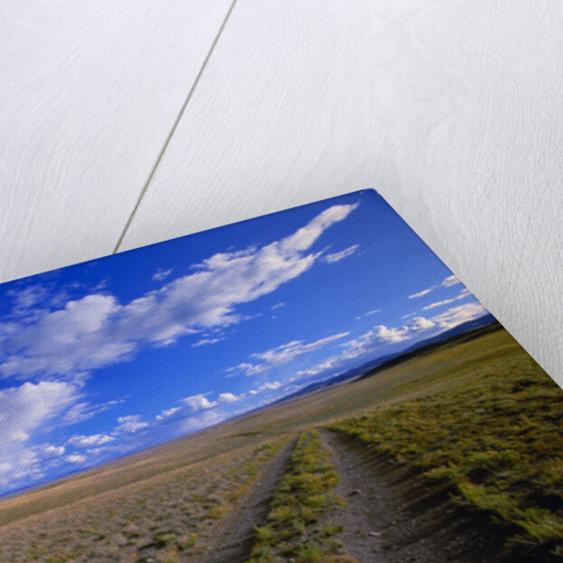 Ranch Road on Prairie by Anonymous