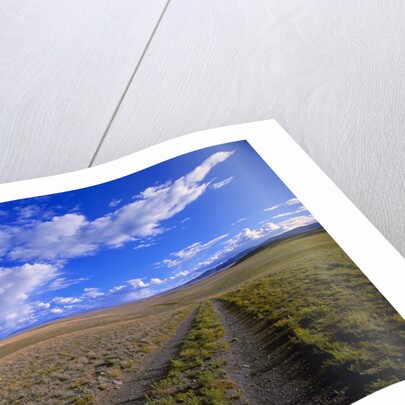 Ranch Road on Prairie by Anonymous