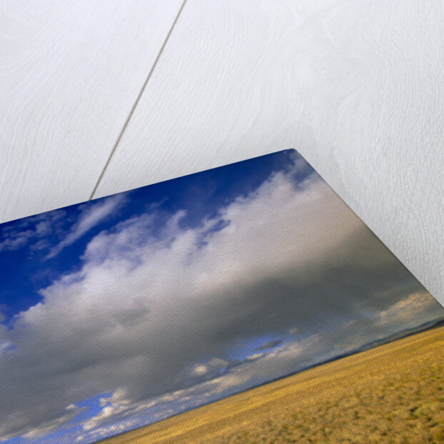 Ranch Road and Clouds by Anonymous
