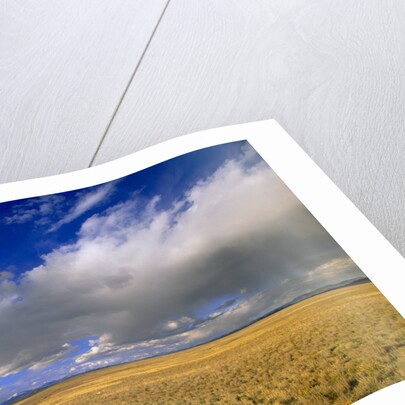 Ranch Road and Clouds by Anonymous
