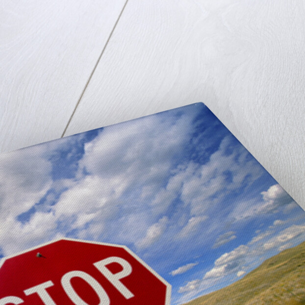 Stop Sign on Road Against Dramatic Sky by Anonymous