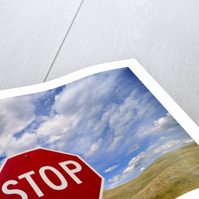 Stop Sign on Road Against Dramatic Sky by Anonymous