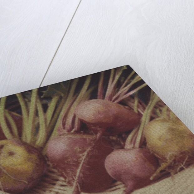 Kay's Beets by Jennifer Kennard