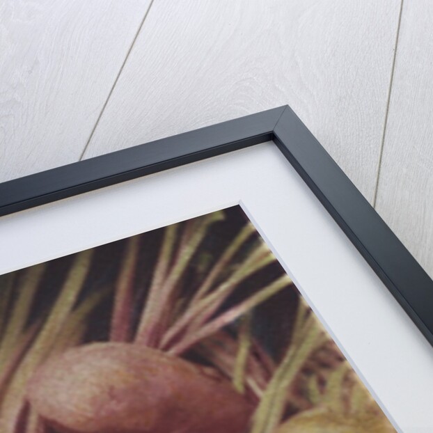 Kay's Beets by Jennifer Kennard