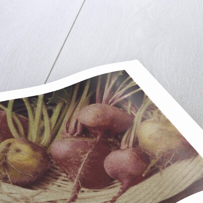 Kay's Beets by Jennifer Kennard