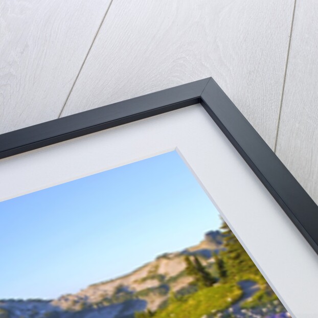 Wildflowers and Tatoosh Range by Anonymous