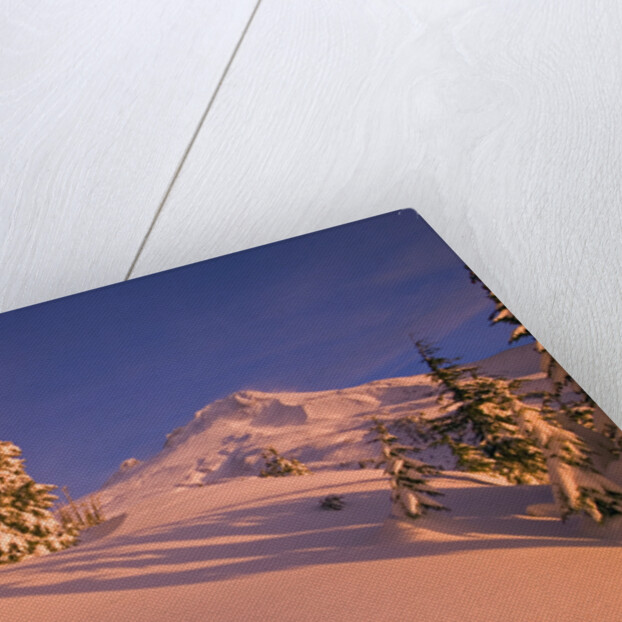 Sunrise on Mount Hood Timberline by Anonymous