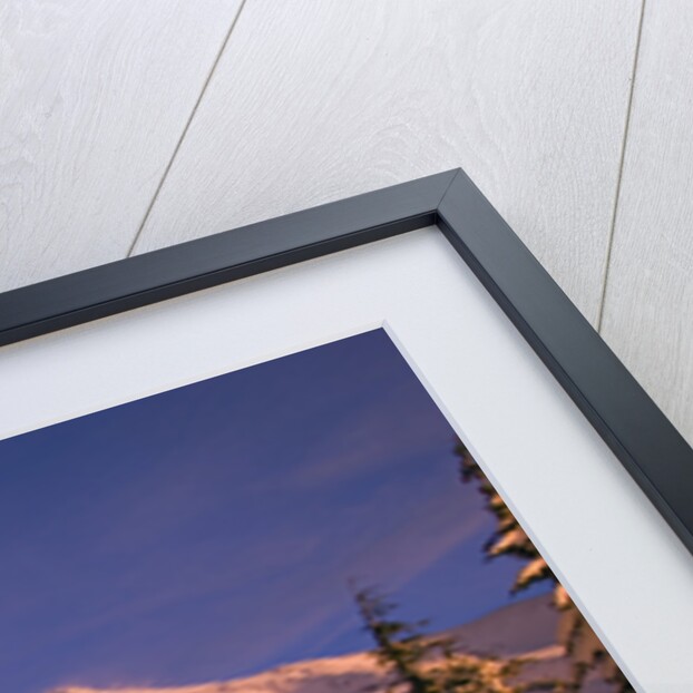 Sunrise on Mount Hood Timberline by Anonymous