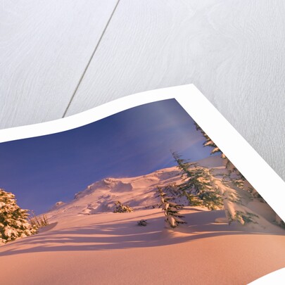 Sunrise on Mount Hood Timberline by Anonymous