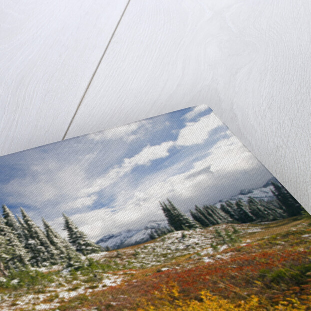 Autumn in the Cascades by Anonymous