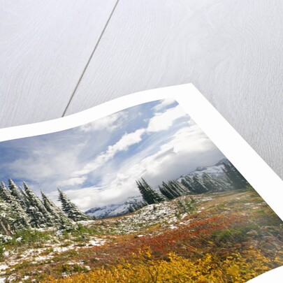 Autumn in the Cascades by Anonymous