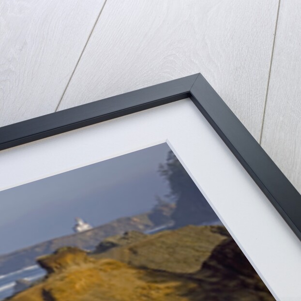 Roaring Surf by Anonymous