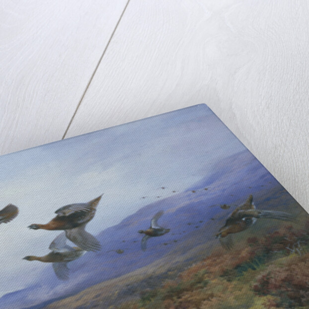Grouse Taking Flight by Archibald Thorburn