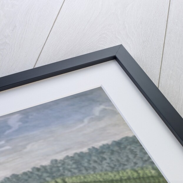 A Lagoon in the Garden of Versailles Engraving by Anonymous