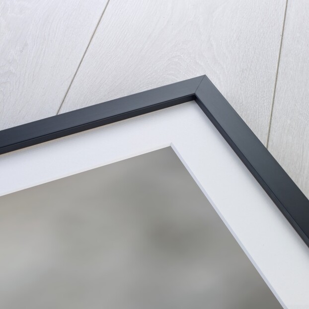 Gentoo Penguins by Anonymous