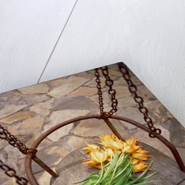 High angle view of a bunch of yellow flowers on the swing by Anonymous