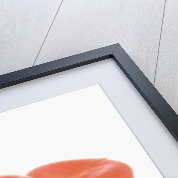 Flowers by Anonymous