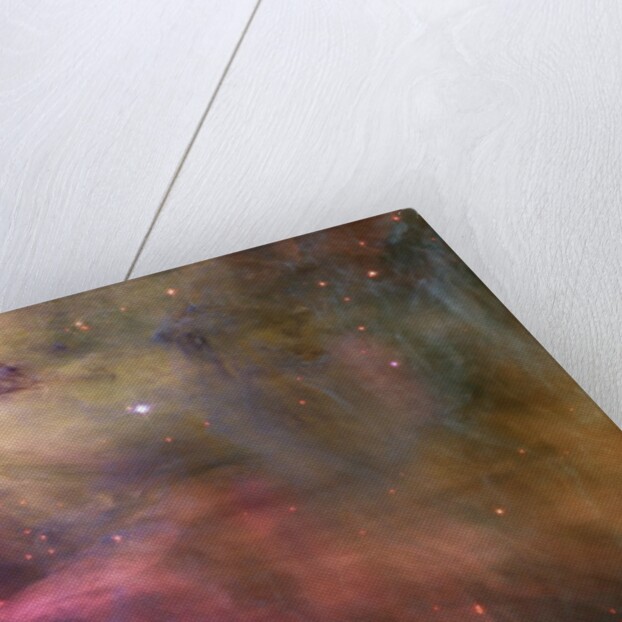 Gas and Dust in Orion Nebula by Anonymous