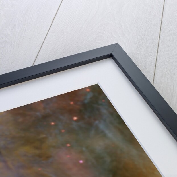 Gas and Dust in Orion Nebula by Anonymous
