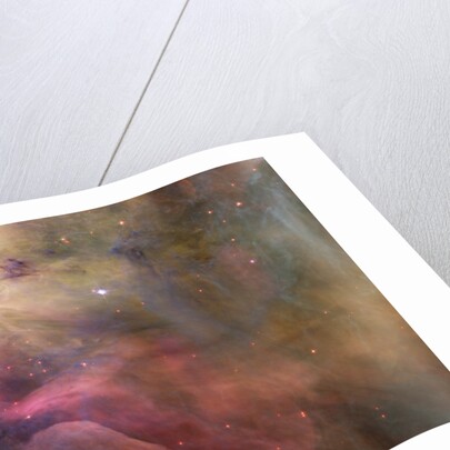 Gas and Dust in Orion Nebula by Anonymous