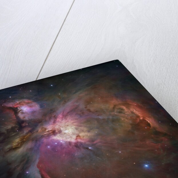 Orion Nebula by Anonymous