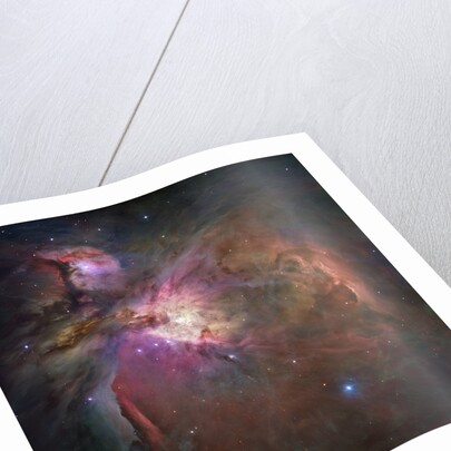 Orion Nebula by Anonymous