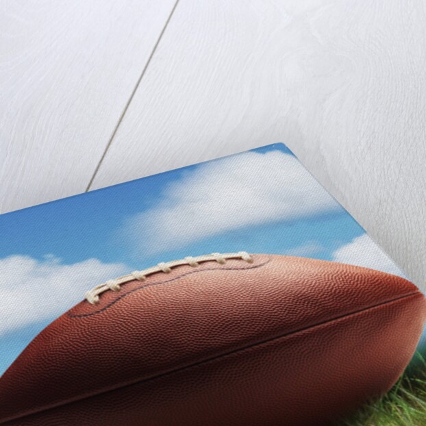 Football in Grass by Anonymous