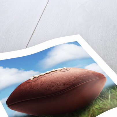 Football in Grass by Anonymous