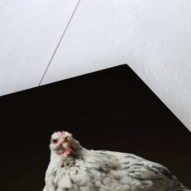 Chicken by Anonymous