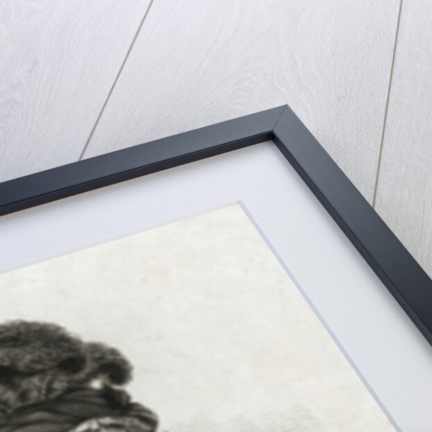 Portrait of Queen Charlotte by Thomson