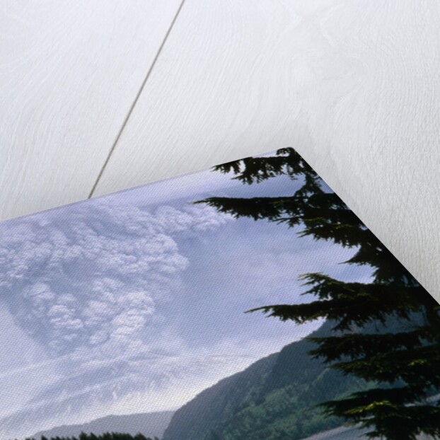 Mount St. Helens Erupting by Anonymous