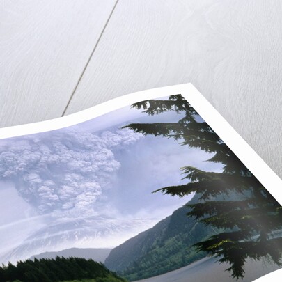 Mount St. Helens Erupting by Anonymous