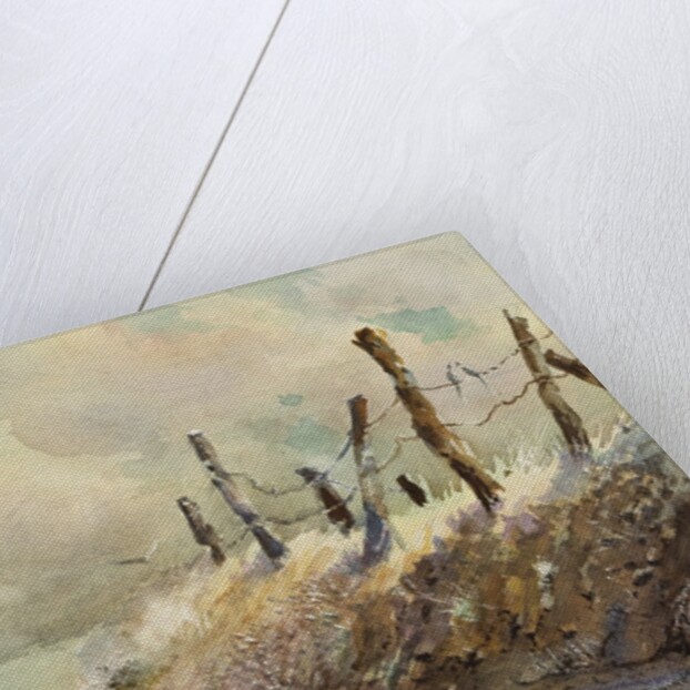 Posts in Sunshine by LaVere Hutchings