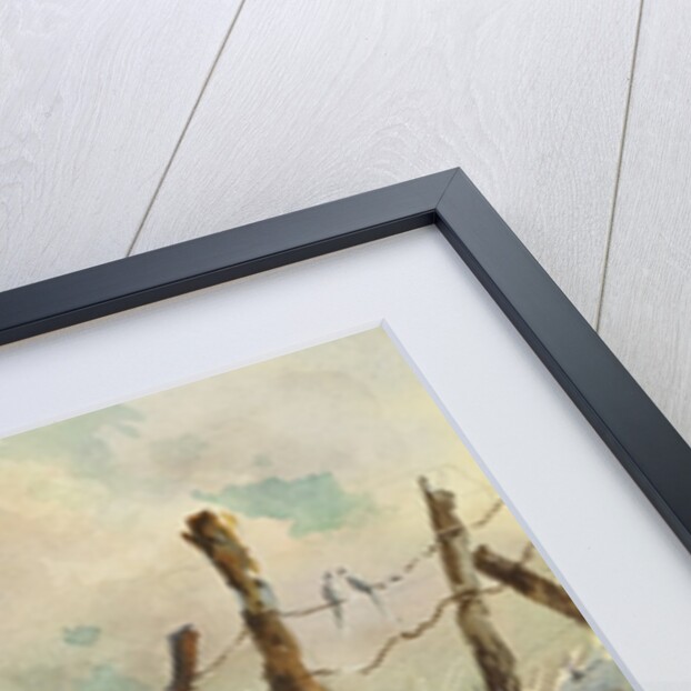 Posts in Sunshine by LaVere Hutchings
