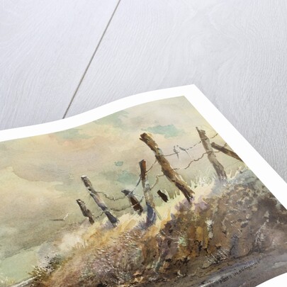 Posts in Sunshine by LaVere Hutchings