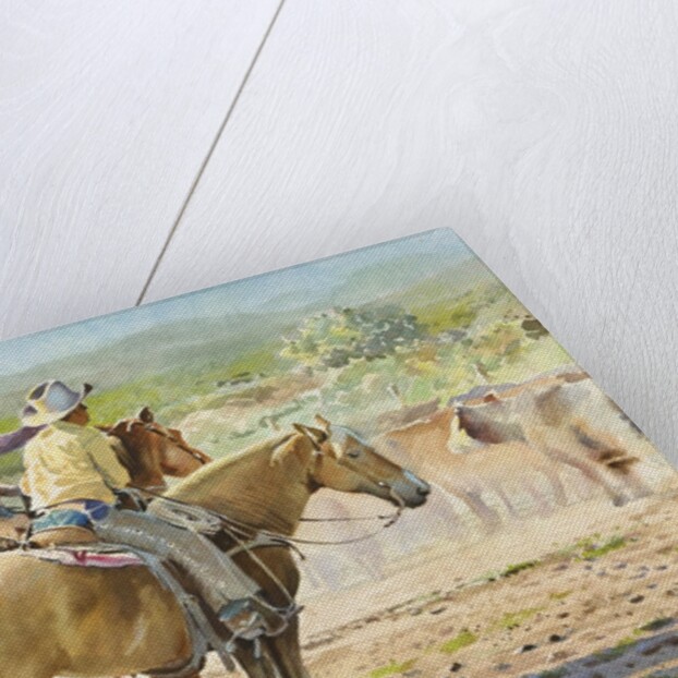Splitting the Herd by LaVere Hutchings