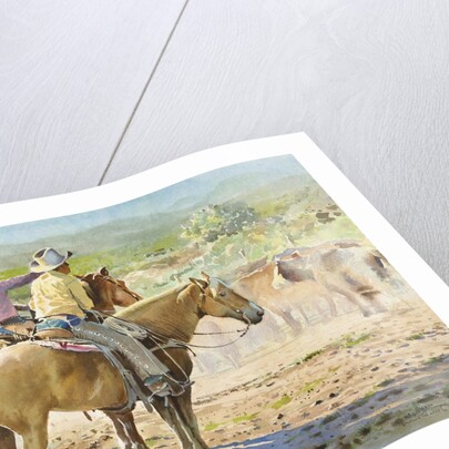 Splitting the Herd by LaVere Hutchings