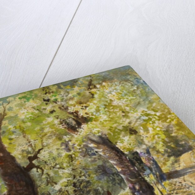 Spring at Dogtown by LaVere Hutchings