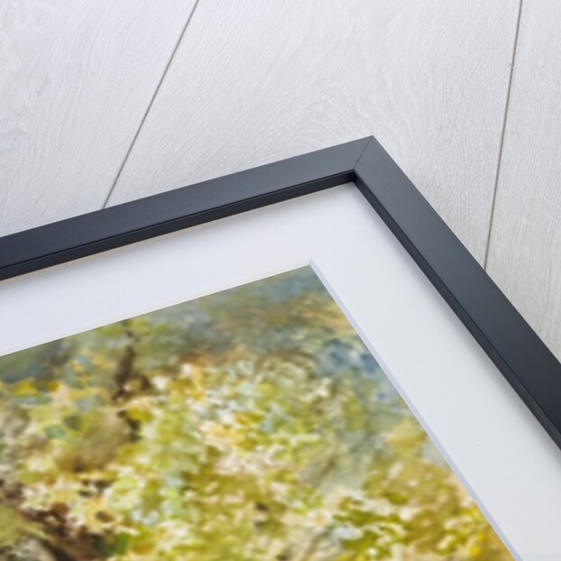 Spring at Dogtown by LaVere Hutchings